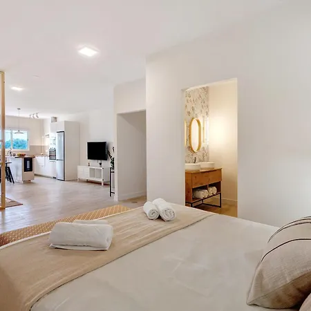 Lejlighed Loft The Pa